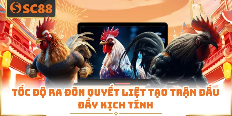 Tốc độ ra đòn quyết liệt tạo trận đấu đầy kịch tính